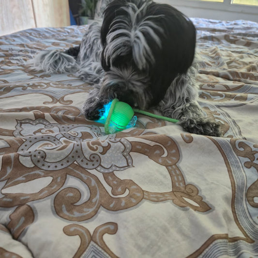 Automatic Running Ball