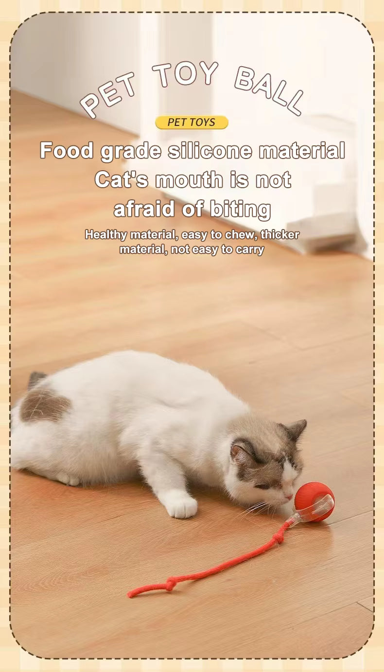 Automatic Running Ball